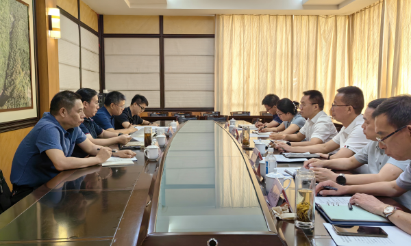 市城市管理局黨組成員、副局長李昌良調研督導渝東南片區城市管理領域集中整治工作